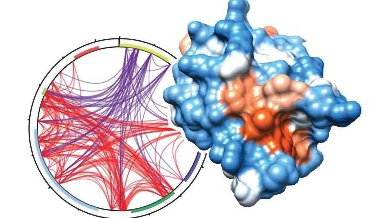 New Insight Suggests UHRF1 Protein Could be Potential Drug Target