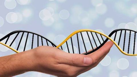 ERS Genomics Licenses CRISPR Gene Editing Technology to DefiniGEN