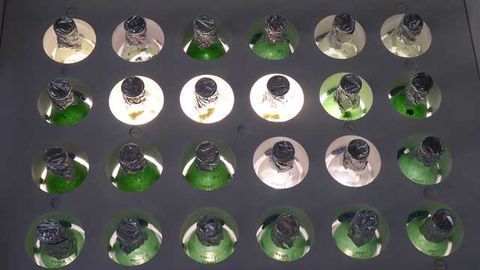 Get the Most out of your Algal Strain with Algenuity