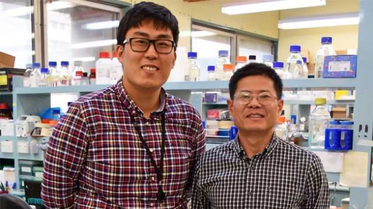 Stroke of Genius: Drug Could Target Leading Cause in Young