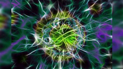 Gonorrhea Research Accelerated by Reference Proteomics Databank