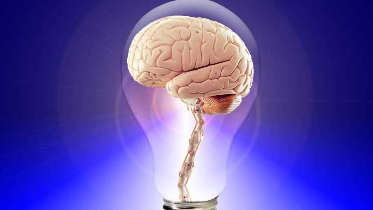 Navigating our Thoughts: Fundamental Principles of Thinking