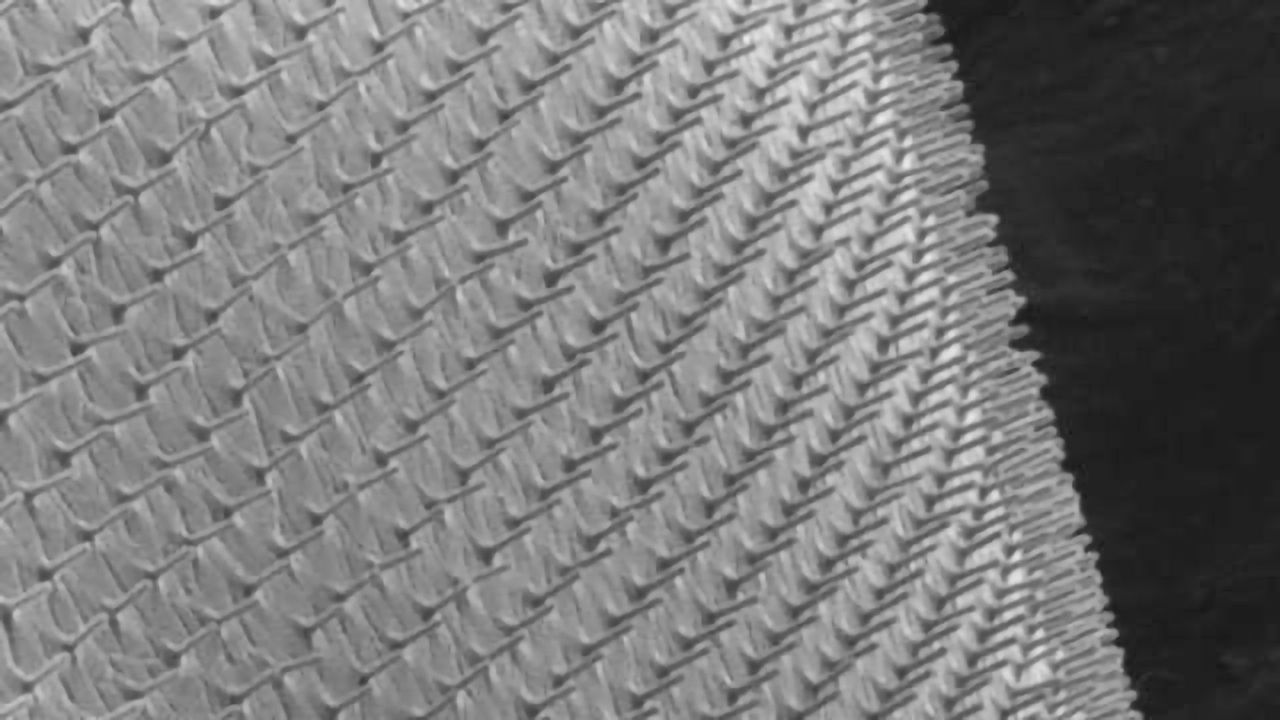 Biopatch Delivers Exact Drug Doses Directly into Cells