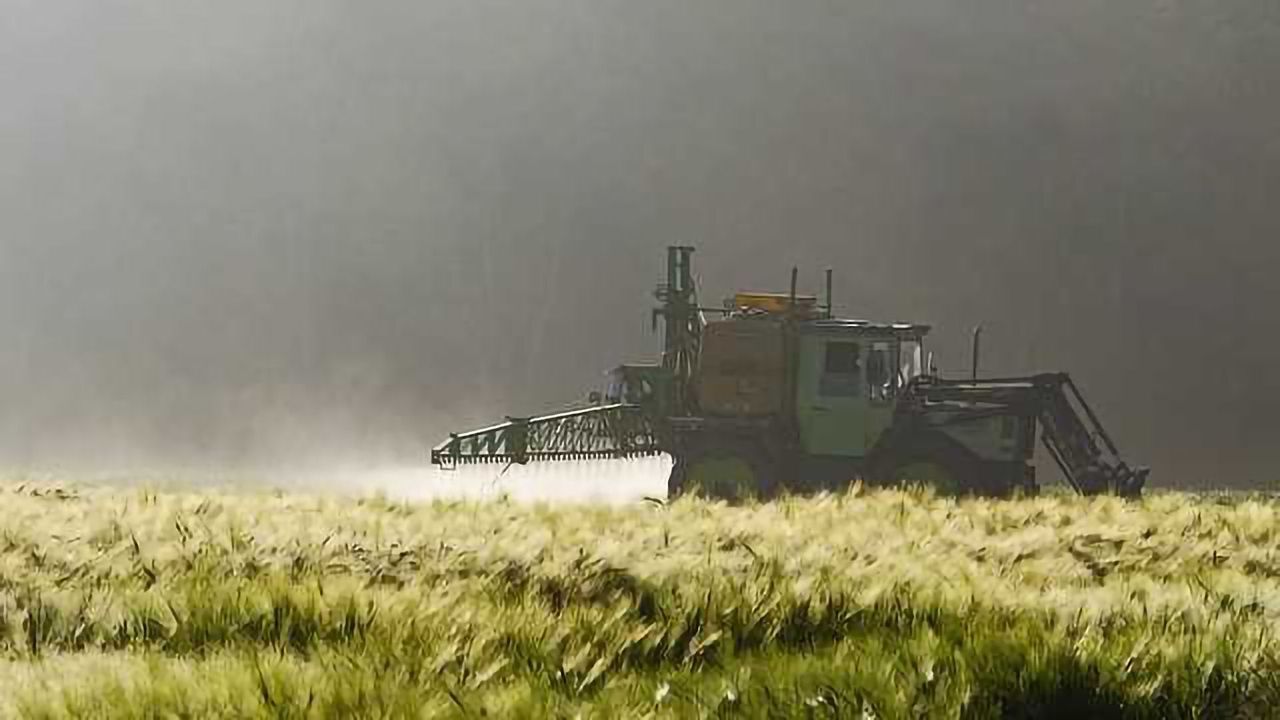 Call for Ban on Widely Used Insecticides