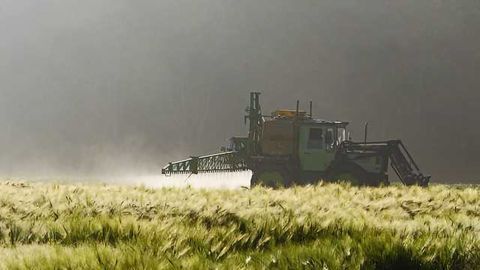 Call for Ban on Widely Used Insecticides