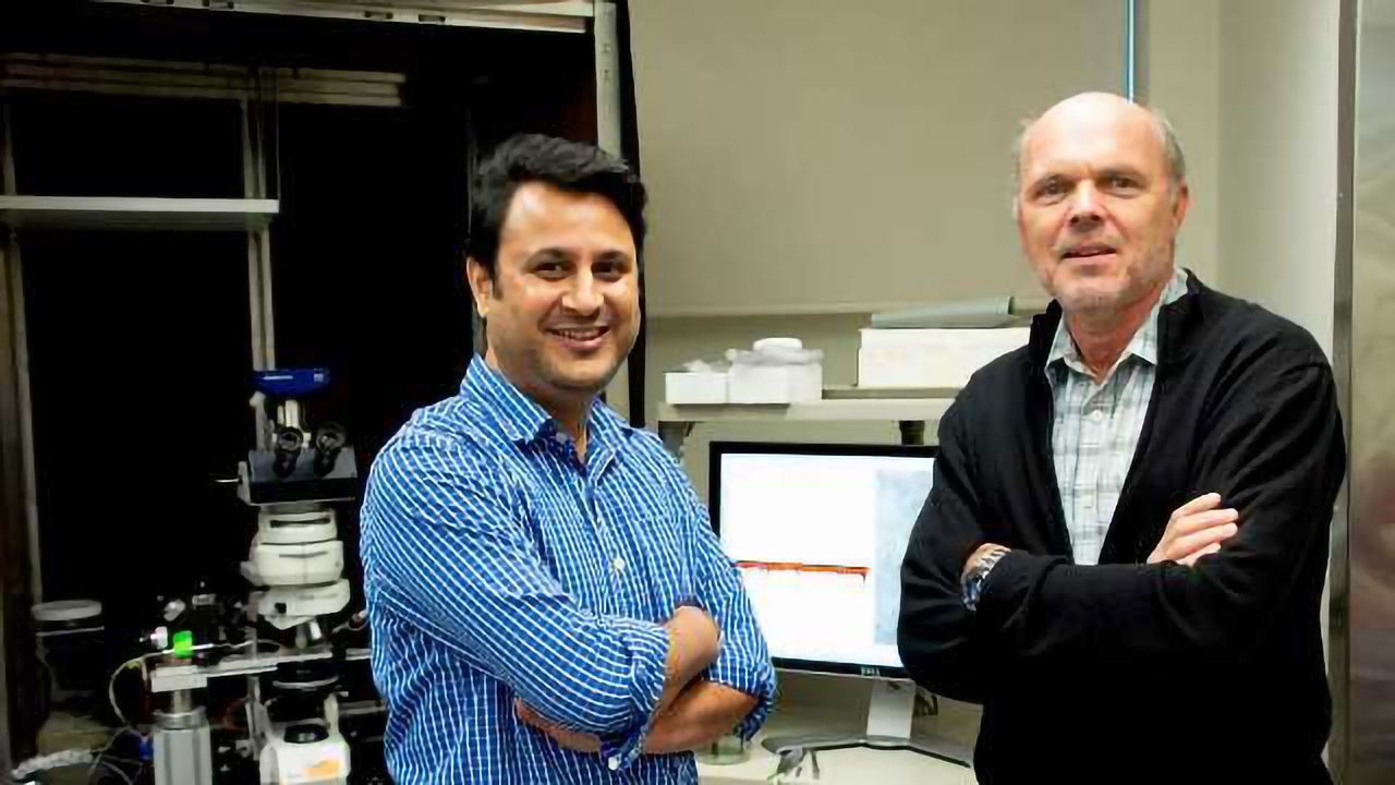 Solution to 125-Year-Old Neuroscience Mystery Provides Clues to Epilepsy Treatment