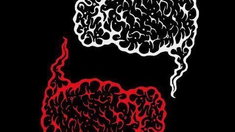 In Live Brain Function, Researchers are Finally Seeing Red