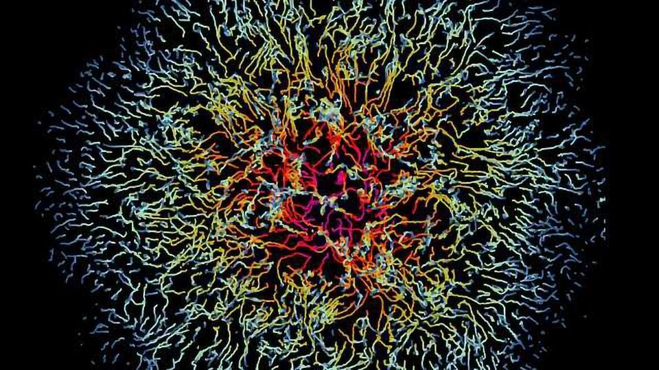 Spreading the Disease | Technology Networks