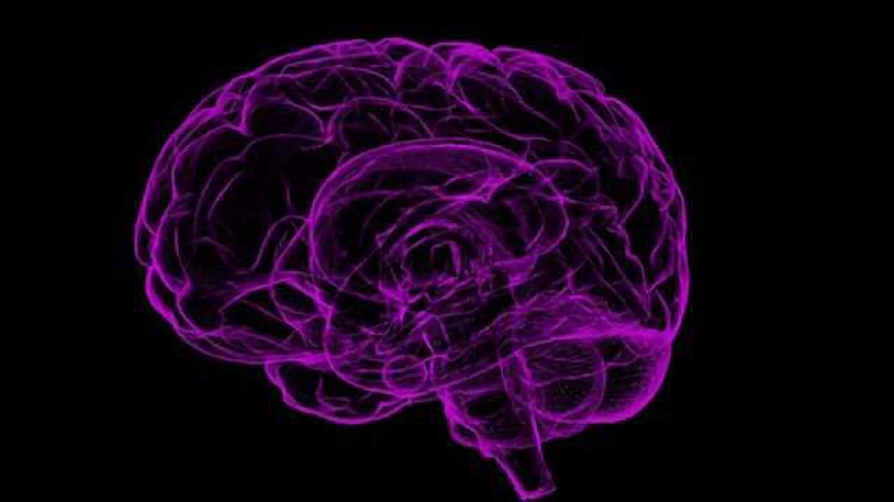Shortage of Gene Silencing Molecules Linked to Pediatric Brain Tumor Development