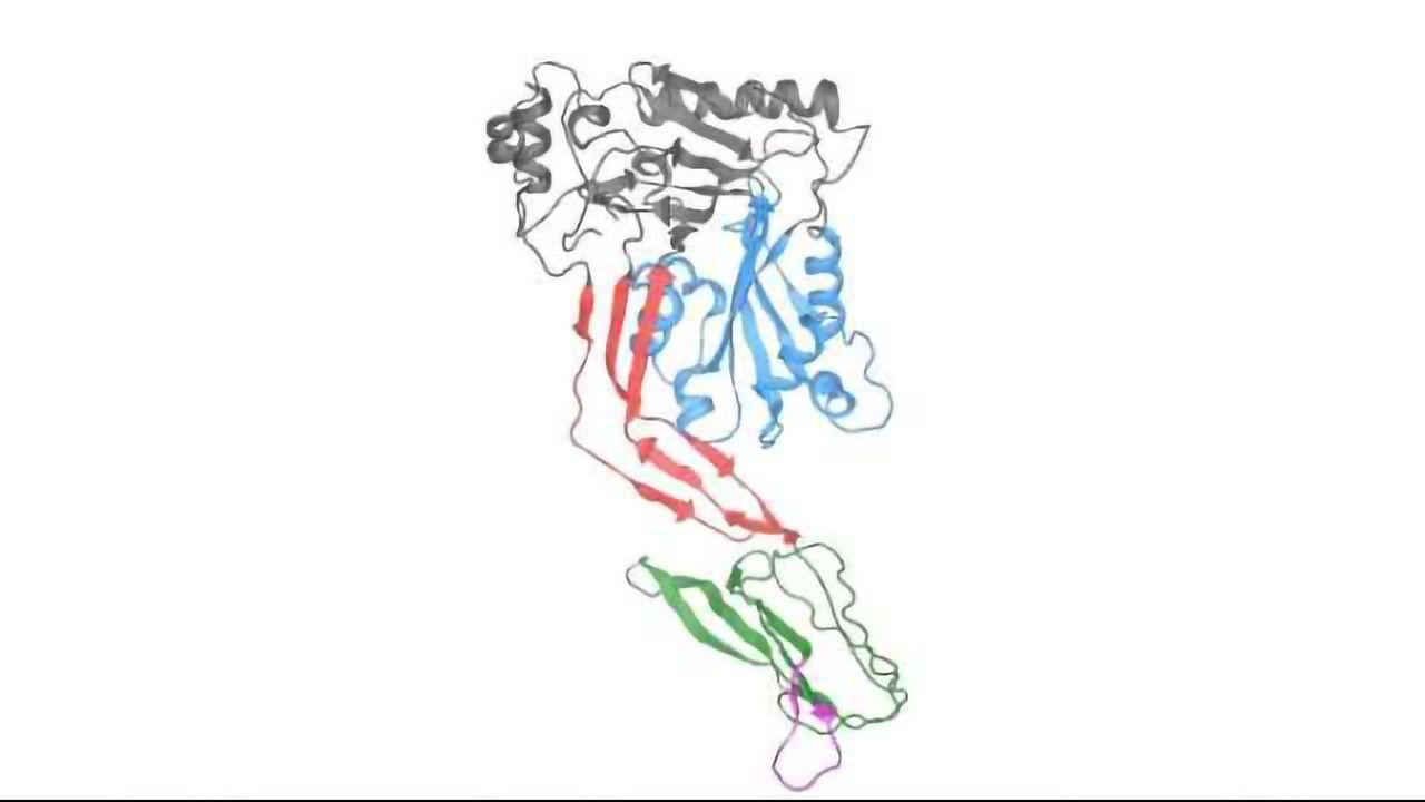 Revealed: How Deadly Pneumococcus Suppresses Immune Defenses