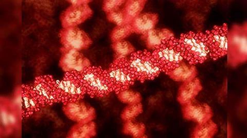 Sequencing Offers New Hope for Rare Cancers