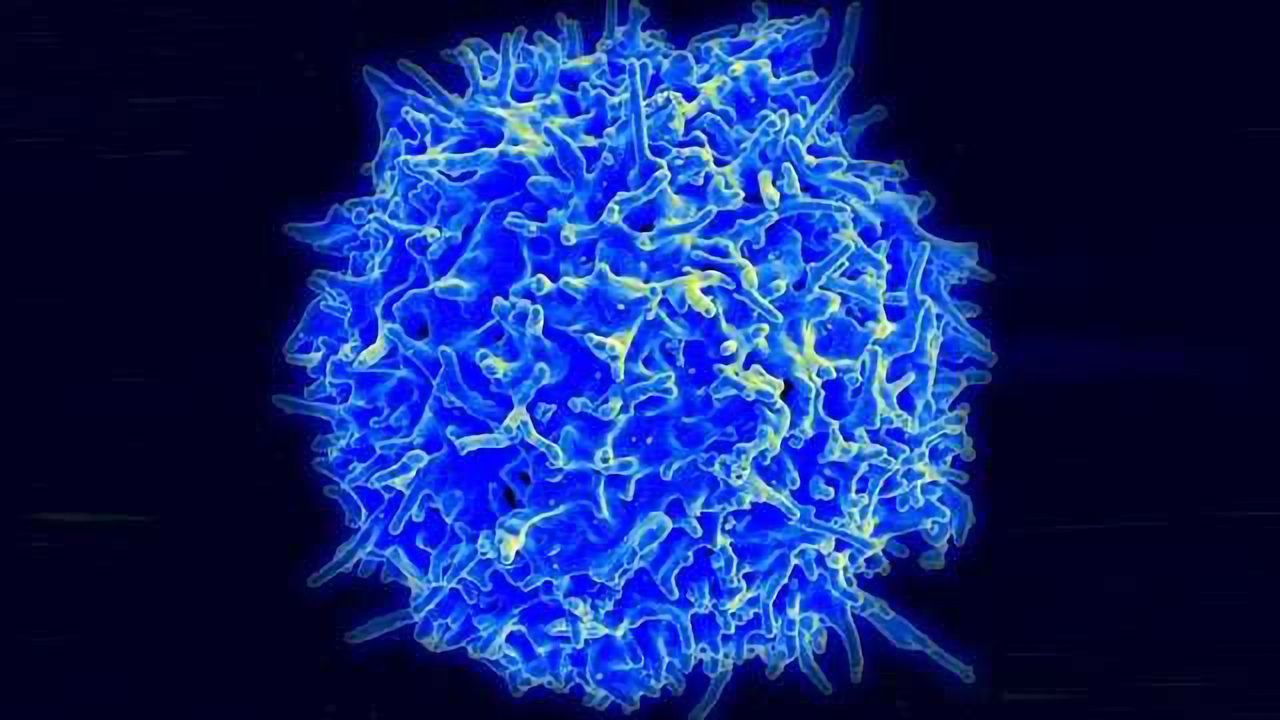 'Waltzing' Nanoparticles Could Lead to Better Drug Delivery
