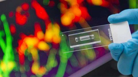 3D Microfluidic Platform Enables Neuronal Chemotactic Assays