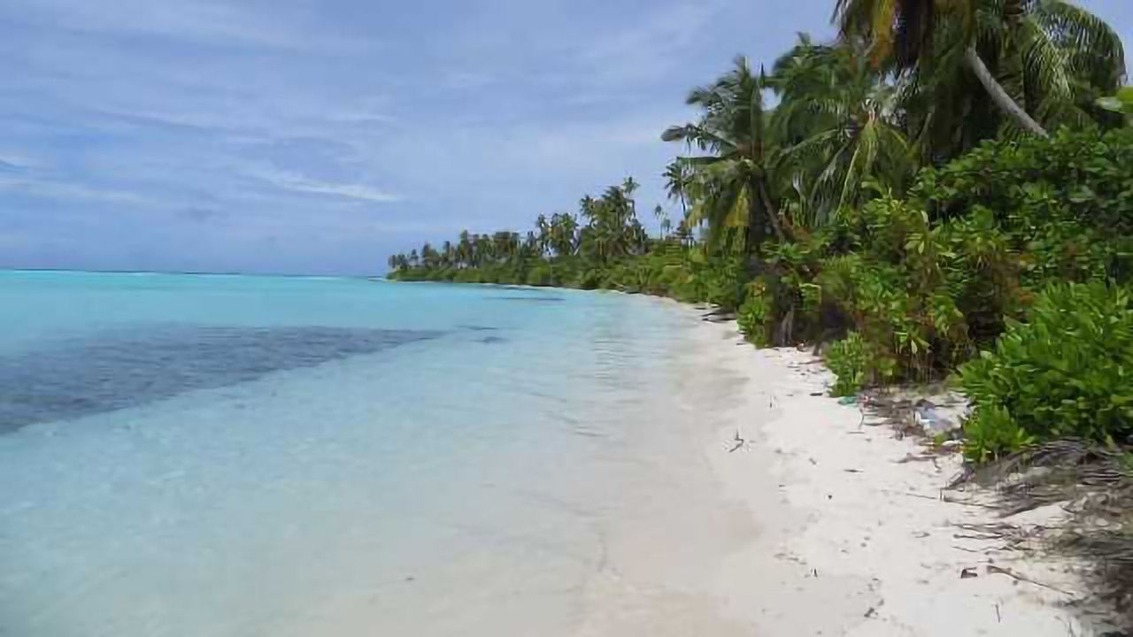 Rising Sea Levels May Build, Not Destroy, Coral Reef Islands