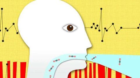 AI-Capnograph Distinguishes Between Emphysema and Heart Failure