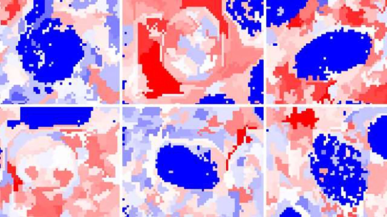 How AI Can Speed Up High Content Screening Analysis