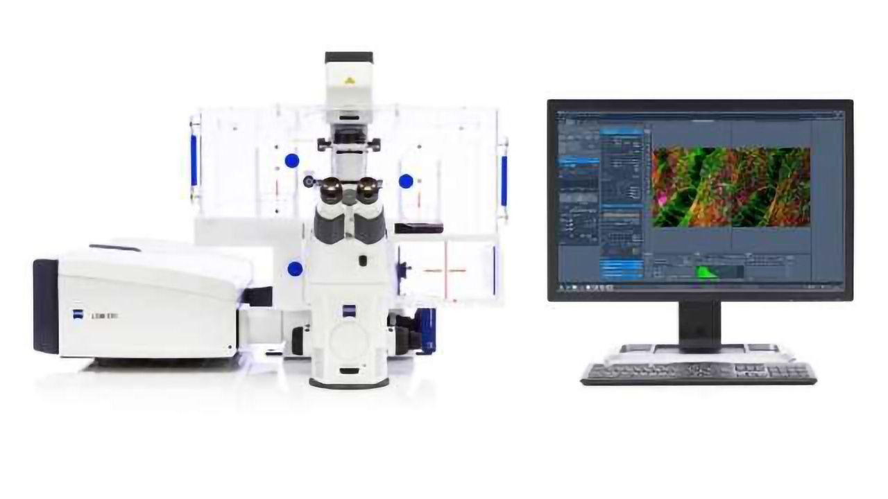 Leveraging ZEISS Airyscan to Integrate subcellular and Structural Detail with Inscopix Functional Neural Network Data