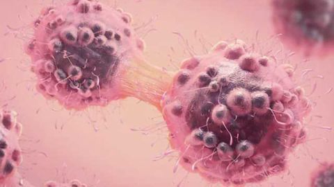 Researchers Identify Mechanism That Fuels Cancer Cells’ Growth