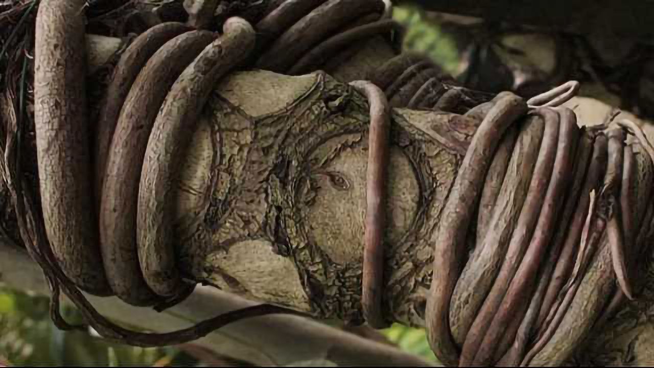 Rainforest Vine Compound Starves Pancreatic Cancer Cells
