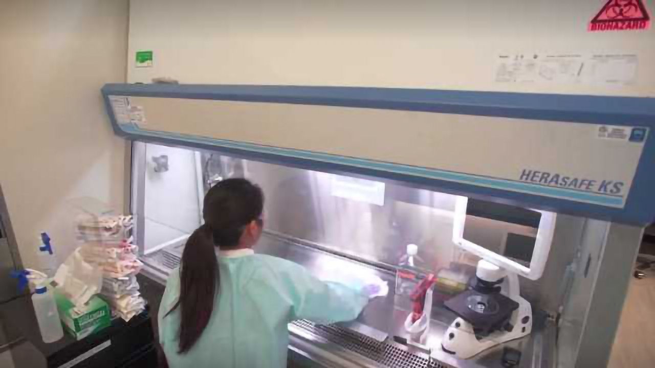 Cell Culture Basics