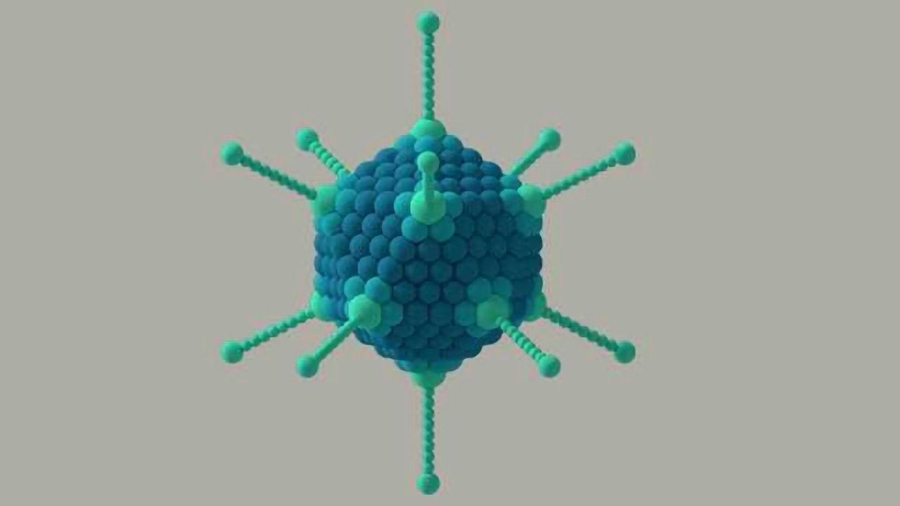 Oncolytic Adenovirus Modified to Actively Kill 2 Cancerous Cell Types