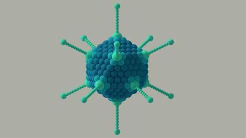 Oncolytic Adenovirus Modified to Actively Kill 2 Cancerous Cell Types