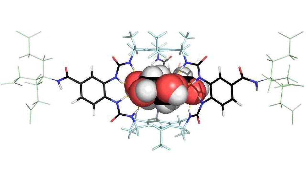 Molecule Could Transform the Treatment of Diabetes