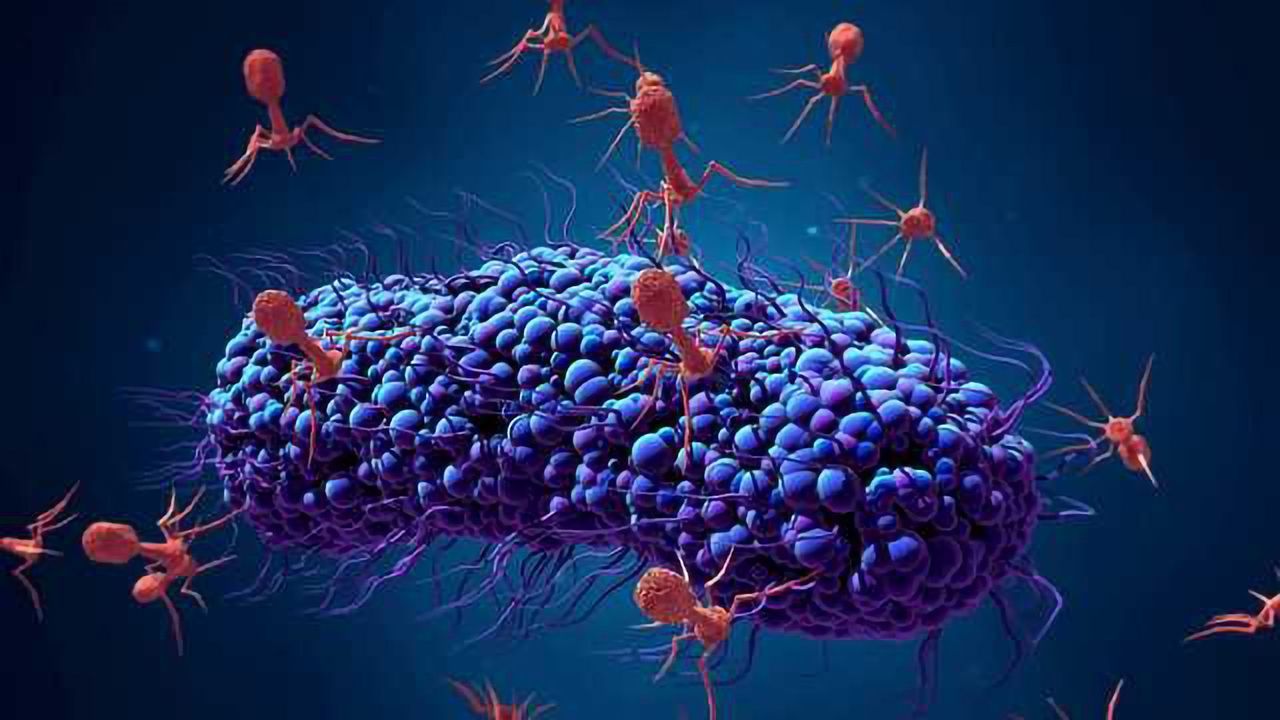 Emerging Classes of Next-generation Biotherapeutics