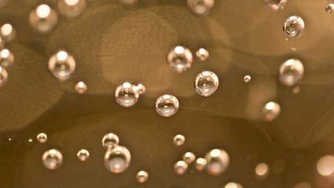 Up-scaling Production of MiRNA-enriched Extracellular Vesicles