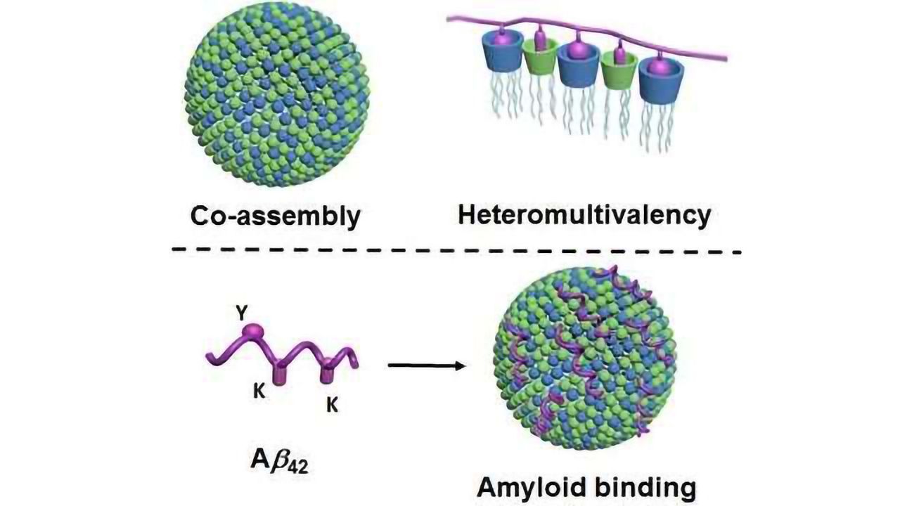 New Method for Selective Binding of Proteins