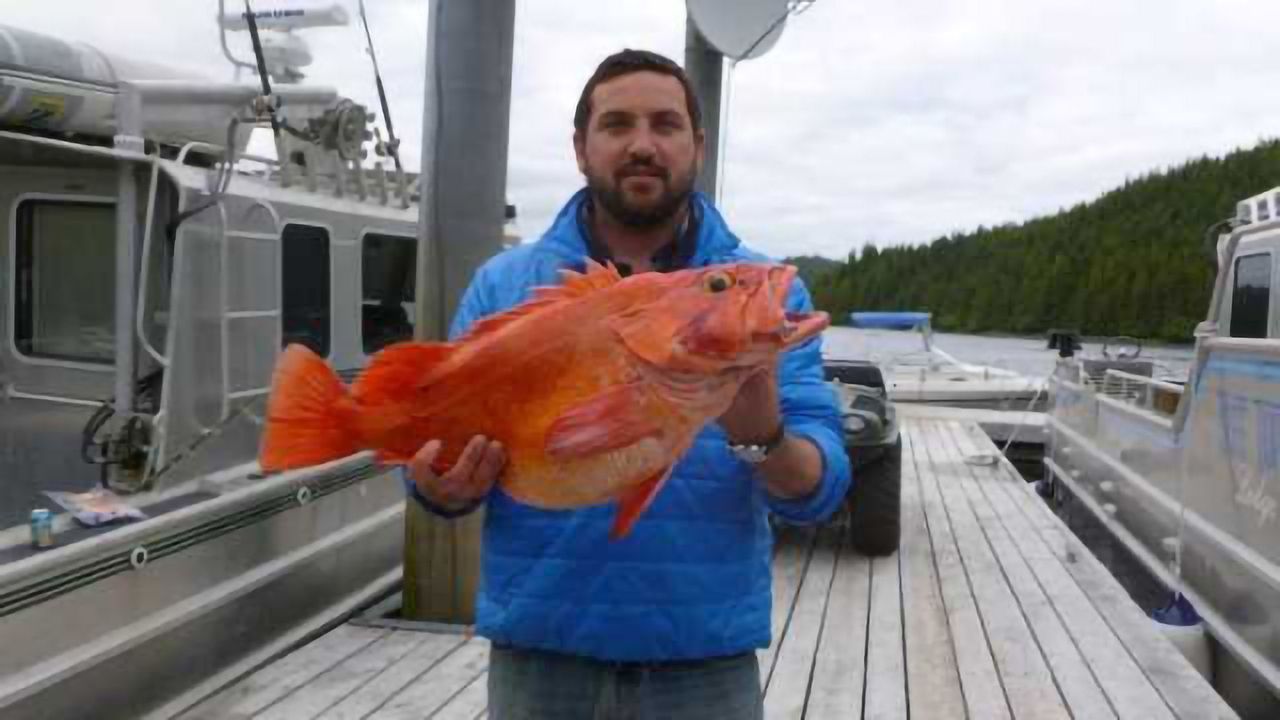 Mercury Challenging for Fish Detox