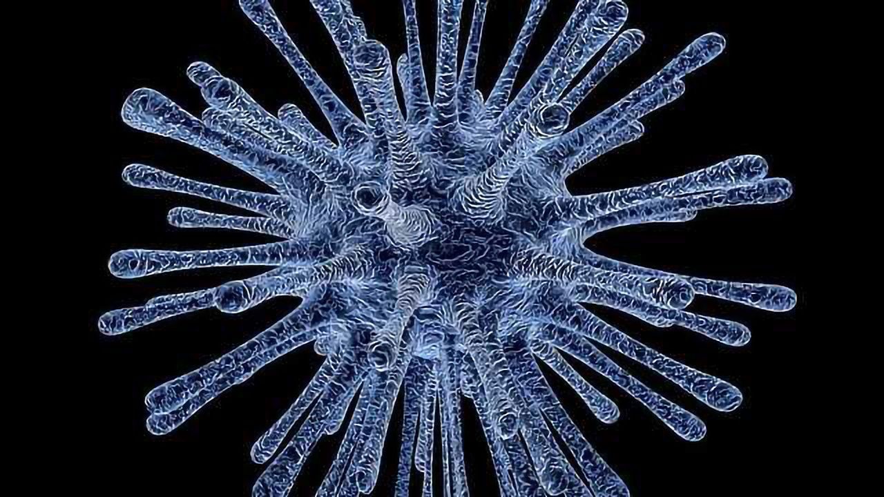 Predicting Future Viral Threats to Humanity