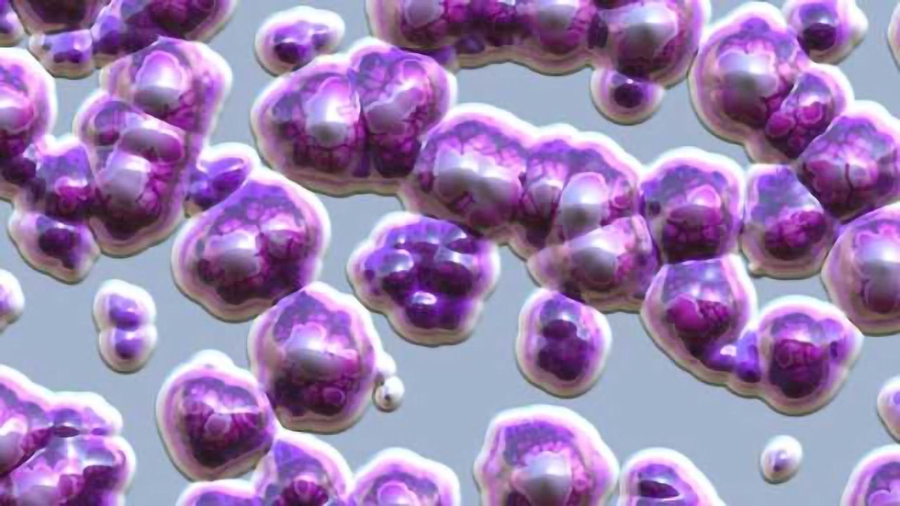 Toxic Bullet in Bacteria's Armory