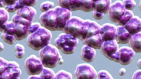 Toxic Bullet in Bacteria's Armory
