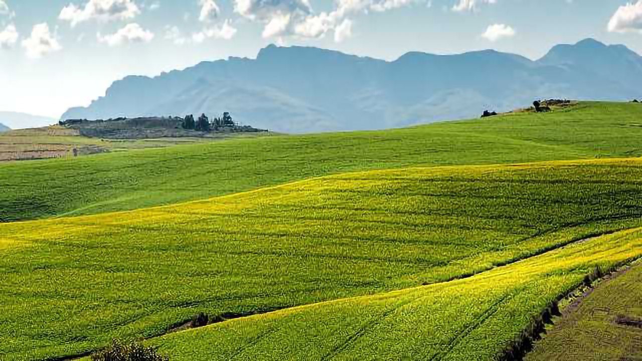 Simulation Helps Predict Crop Drops