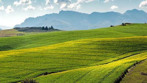 Simulation Helps Predict Crop Drops