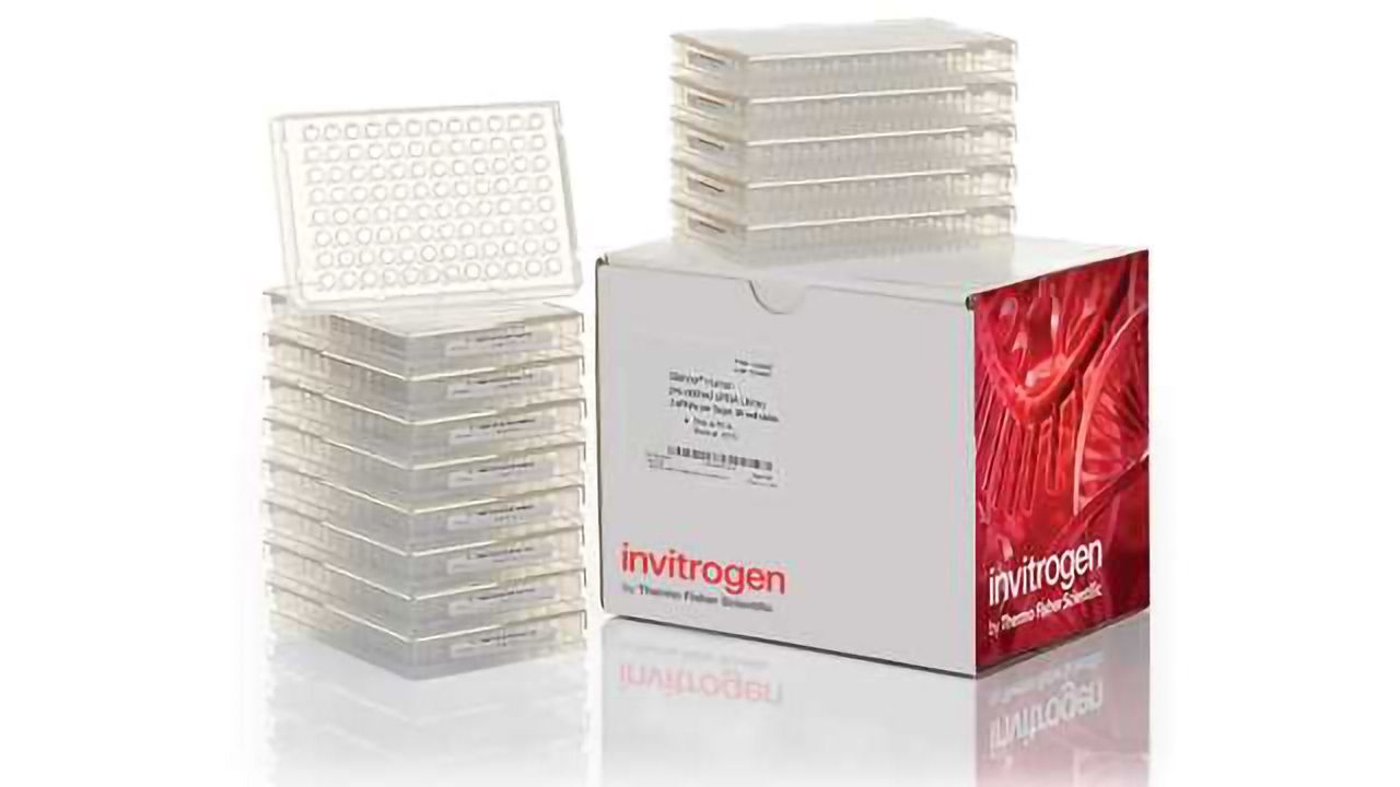 Thermo Fisher Scientific Releases Most Comprehensive Database of Pre-designed and Chemically Modified Long Non-Coding RNA siRNAs