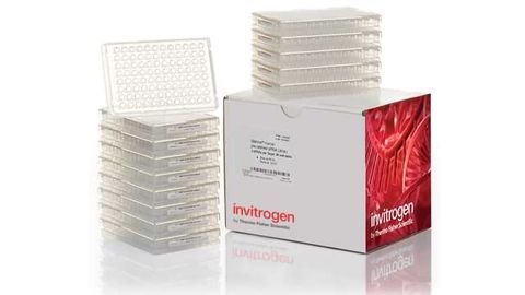 Thermo Fisher Scientific Releases Most Comprehensive Database of Pre-designed and Chemically Modified Long Non-Coding RNA siRNAs