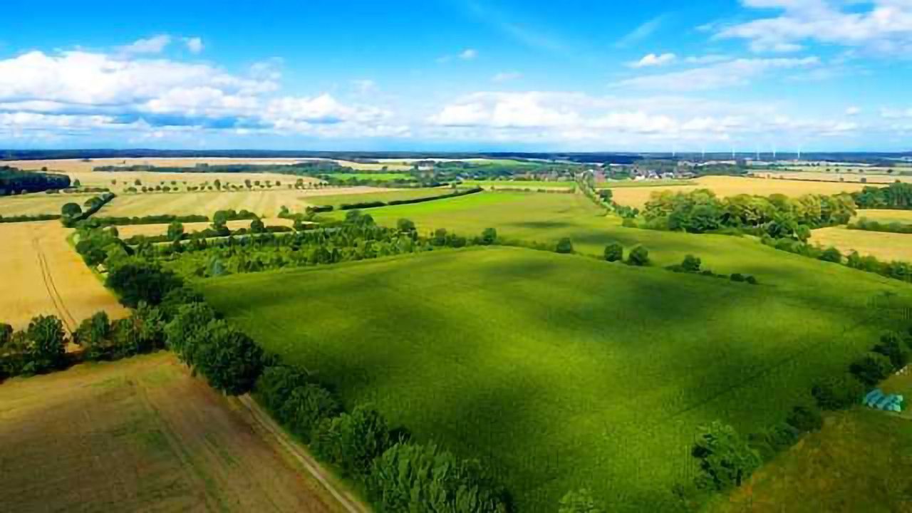 Smallholdings More Important to Global Food Production than Previously Thought