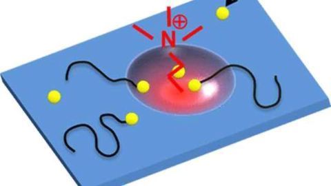 Strides Made in Chemical Warfare Detection