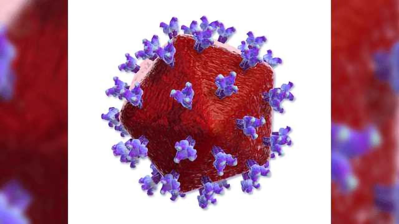 HIV Persistence During Therapy Mostly Due to Cellular, not Viral, Proliferation
