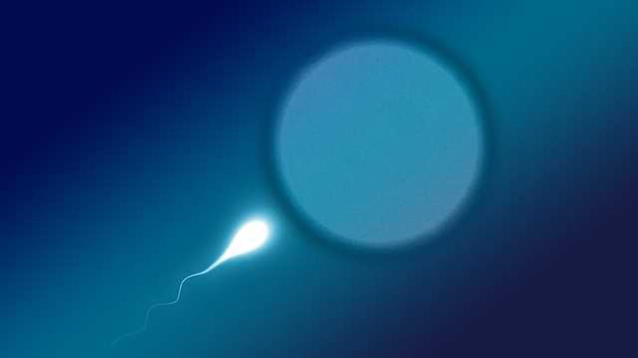Sperm's Inbuilt Homing Device
