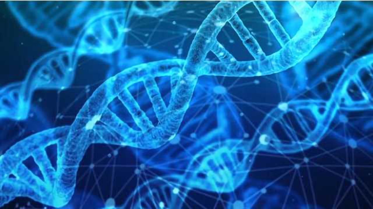 Gene Discovery Could Shed Light on Chemical Exposure Effects in Humans