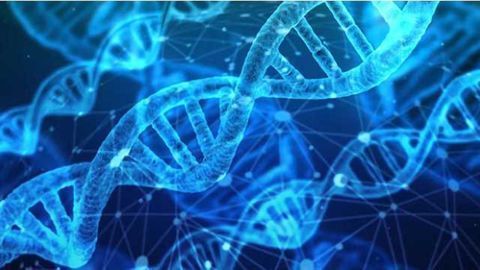 Gene Discovery Could Shed Light on Chemical Exposure Effects in Humans