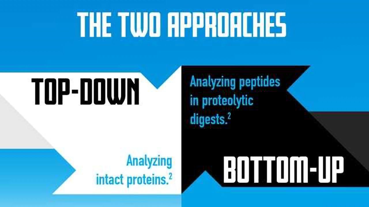 Top-down vs. Bottom-up Proteomics