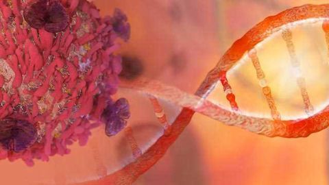 FDA Approves Drug That Targets Key Genetic Driver of Cancer