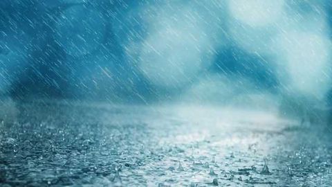 Fertilizer Fuels Rain's Infectious Cargo