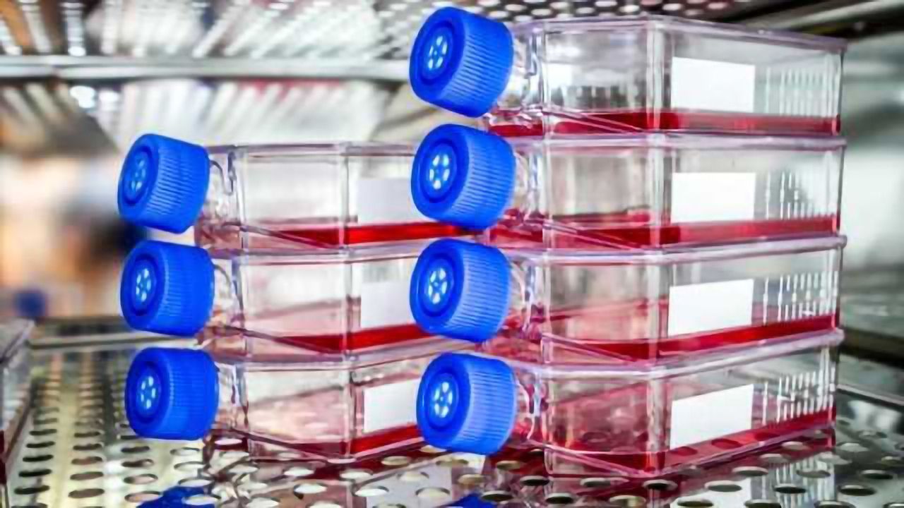 Using FBS for Cell Culture, 2018 Survey