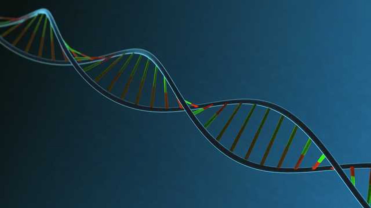 Precision Medicine Heads to Namibia