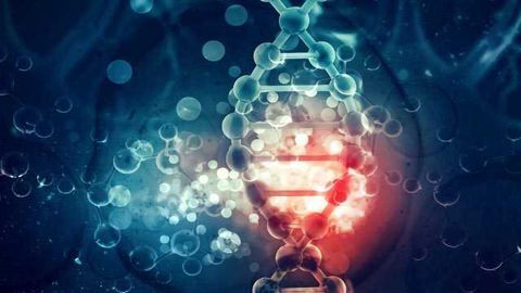 DNA With a Twist: Discovery Could Further Antibiotic Drug Development